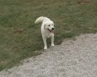 processed/6b4592ea-b665-43e4-ae4b-5534e48ca0a1/listing/6a82d8bd-81ca-4109-ae8f-af16e593a5d8/8d948e99-5987-4689-b19c-367b4ae1f8a6