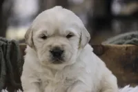 processed/6b4592ea-b665-43e4-ae4b-5534e48ca0a1/listing/d00bd372-f9dc-49fe-abef-ce6c907f7fa4/42bec256-9c29-416e-b84b-72d46b4f5097