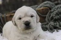 processed/6b4592ea-b665-43e4-ae4b-5534e48ca0a1/listing/d00bd372-f9dc-49fe-abef-ce6c907f7fa4/6b983229-5e87-4b61-9405-27c8978a1951