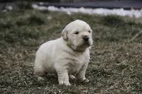 processed/6b4592ea-b665-43e4-ae4b-5534e48ca0a1/listing/d00bd372-f9dc-49fe-abef-ce6c907f7fa4/7f52fd28-f4ba-4851-84a9-eec147c48d48