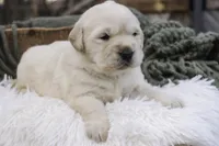 processed/6b4592ea-b665-43e4-ae4b-5534e48ca0a1/listing/d00bd372-f9dc-49fe-abef-ce6c907f7fa4/9ac5a875-d3a6-410a-9b10-008097325860