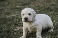 processed/6b4592ea-b665-43e4-ae4b-5534e48ca0a1/listing/d58a8c7c-17aa-40ac-b4e6-ff2d3d433f05/4d96ed6f-db48-458b-8372-0e7889fd7ac5