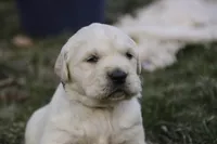 processed/6b4592ea-b665-43e4-ae4b-5534e48ca0a1/listing/d58a8c7c-17aa-40ac-b4e6-ff2d3d433f05/e229b708-f458-48dd-9541-5eaf4bfa284f