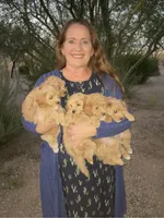 processed/6b4dea12-a55d-42ff-b19e-bfac290eaf47/facility/c0bd69d5-f463-4b99-8fbf-8198db49ee6a