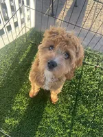 processed/6b4dea12-a55d-42ff-b19e-bfac290eaf47/facility/e2ffefcc-4305-4693-a871-46c435130dfa