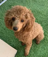 processed/6b4dea12-a55d-42ff-b19e-bfac290eaf47/facility/f5129be6-e534-4d39-9d6e-e79286fe68dc