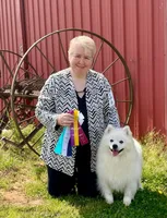 Trip, a male American Eskimo for sale in Arnoldsville, GA – 3 of 3