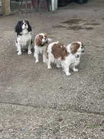 processed/6b5057a1-b811-4b20-bcf1-c4be40101c9d/facility/623a584d-1f32-4f0f-846d-09f17062db73