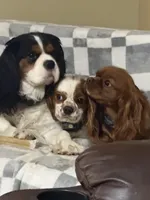 processed/6b5057a1-b811-4b20-bcf1-c4be40101c9d/facility/ccae092f-eaa5-48b7-9b4a-a4bb10a7988d