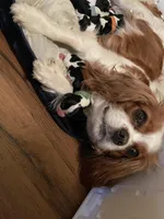 processed/6b5057a1-b811-4b20-bcf1-c4be40101c9d/facility/eb9090db-6332-4ba7-b65f-dfe4b8f5dc28