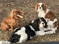 processed/6b5057a1-b811-4b20-bcf1-c4be40101c9d/facility/ecfa04a8-4d4f-48dd-8e10-1d6ff7a86c2e