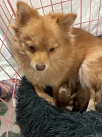 processed/6b537a75-c62d-42e4-bf34-36f690c7fedf/facility/11ae2e1d-4ca0-441a-a185-2ea52d4fd705