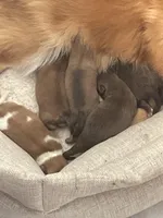 processed/6b537a75-c62d-42e4-bf34-36f690c7fedf/facility/7abc2f02-8cdc-479c-9743-532a329061b7