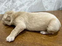 processed/6b553542-febd-488c-9c63-46a4112c8e31/listing/1ced1e3a-3fb8-40d4-9939-ddfe1de2a461/92f78f84-ec07-409d-9bc4-93cb781ed7ff