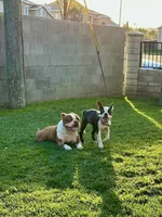 processed/6b5b00aa-a85a-40ff-bb31-a97adc1c22a7/facility/3f0057d9-6f06-405e-b814-6b454c960e5f