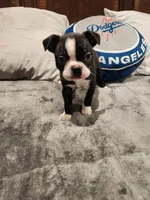 processed/6b5b00aa-a85a-40ff-bb31-a97adc1c22a7/facility/4ceb9004-6ce5-48bf-b958-5ed74e5765fb