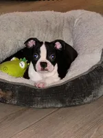 processed/6b5b00aa-a85a-40ff-bb31-a97adc1c22a7/facility/5001cffa-48da-478b-9775-b3cddcc72854