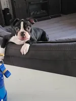 processed/6b5b00aa-a85a-40ff-bb31-a97adc1c22a7/facility/82847b53-8e8b-40bb-96b2-46adc619642f