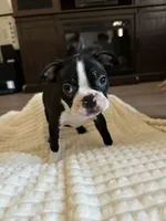 processed/6b5b00aa-a85a-40ff-bb31-a97adc1c22a7/facility/93c28c4d-379c-4489-8826-cd5ebab08805