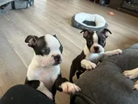 processed/6b5b00aa-a85a-40ff-bb31-a97adc1c22a7/facility/a81cee4f-cd9f-40ef-a938-8c5363d669b7