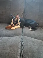 processed/6b5b00aa-a85a-40ff-bb31-a97adc1c22a7/facility/e66e4ffe-acce-4cb9-8c05-d6e550fd67f4