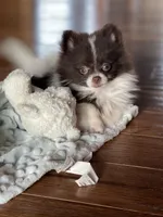 processed/6b5c6ec1-c199-40ff-b990-bcca5b085c12/facility/138a8fc0-6507-49f8-9611-6a71c5fffefa