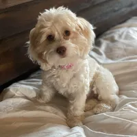 processed/6b5c6ec1-c199-40ff-b990-bcca5b085c12/facility/614a1c90-9b76-4d09-b3e6-3b366f1d83c1