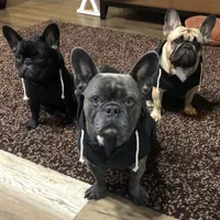 processed/6b5c6ec1-c199-40ff-b990-bcca5b085c12/facility/658e8dfd-5201-4923-8cf9-eccae8c837a4