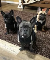 processed/6b5c6ec1-c199-40ff-b990-bcca5b085c12/facility/658e8dfd-5201-4923-8cf9-eccae8c837a4