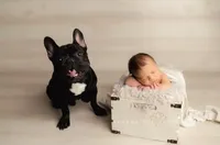 processed/6b5c6ec1-c199-40ff-b990-bcca5b085c12/facility/68a7bb95-ef70-47c2-8373-e185b83b42a1