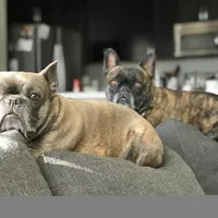 processed/6b5c6ec1-c199-40ff-b990-bcca5b085c12/facility/872a4cf7-961c-444d-9a84-8efdcacab4a3