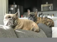 processed/6b5c6ec1-c199-40ff-b990-bcca5b085c12/facility/872a4cf7-961c-444d-9a84-8efdcacab4a3