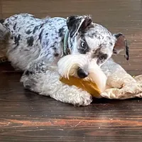 processed/6b5c6ec1-c199-40ff-b990-bcca5b085c12/facility/9b7b4dfa-465a-4051-bacf-3298b9d2133c