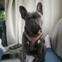 processed/6b5c6ec1-c199-40ff-b990-bcca5b085c12/facility/b0390f1d-704e-4a33-b2c7-d12e74bdde52