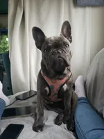 processed/6b5c6ec1-c199-40ff-b990-bcca5b085c12/facility/b0390f1d-704e-4a33-b2c7-d12e74bdde52