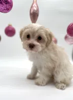 processed/6b5c6ec1-c199-40ff-b990-bcca5b085c12/listing/0a852371-d71e-495d-8a73-66f72f851472/36e317c2-bb78-496a-8dd9-9c8a6490a485