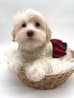 processed/6b5c6ec1-c199-40ff-b990-bcca5b085c12/listing/0a852371-d71e-495d-8a73-66f72f851472/377c7b06-b0e9-49a4-9520-c9c044653536