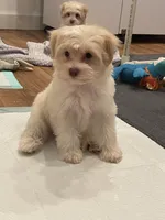 processed/6b5c6ec1-c199-40ff-b990-bcca5b085c12/listing/0a852371-d71e-495d-8a73-66f72f851472/3ae513ea-1c13-413b-acf7-8563d671f336