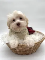 processed/6b5c6ec1-c199-40ff-b990-bcca5b085c12/listing/0a852371-d71e-495d-8a73-66f72f851472/812f6330-049d-4094-9219-6e299792bb5c