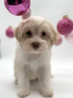 processed/6b5c6ec1-c199-40ff-b990-bcca5b085c12/listing/0a852371-d71e-495d-8a73-66f72f851472/922fb8bc-6ca2-4268-9942-250a5b21dce1