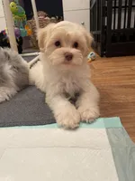 processed/6b5c6ec1-c199-40ff-b990-bcca5b085c12/listing/0a852371-d71e-495d-8a73-66f72f851472/ab66f094-091c-4098-a924-e79cc8b2d066