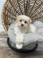 processed/6b5c6ec1-c199-40ff-b990-bcca5b085c12/listing/0a852371-d71e-495d-8a73-66f72f851472/e3644aec-648b-41c4-9f5c-21121581eba4