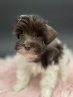 processed/6b5c6ec1-c199-40ff-b990-bcca5b085c12/listing/ad9ba18a-6ecc-47db-a904-d620450ff556/0a419ea7-868b-48c8-849f-0b8c04f0d597