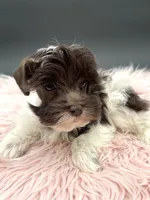 processed/6b5c6ec1-c199-40ff-b990-bcca5b085c12/listing/ad9ba18a-6ecc-47db-a904-d620450ff556/869a4d26-7b08-4acb-b36e-f0e4e4a7251b