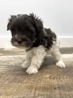 processed/6b5c6ec1-c199-40ff-b990-bcca5b085c12/listing/ad9ba18a-6ecc-47db-a904-d620450ff556/9b35f8e1-4a7f-47be-83fc-a8be1d5cb788