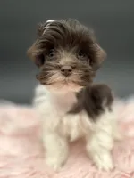 processed/6b5c6ec1-c199-40ff-b990-bcca5b085c12/listing/ad9ba18a-6ecc-47db-a904-d620450ff556/c37404cd-43ac-4393-9d5c-9750e05abf61