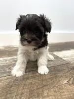 processed/6b5c6ec1-c199-40ff-b990-bcca5b085c12/listing/ad9ba18a-6ecc-47db-a904-d620450ff556/d3341c56-eb12-42f7-8c49-7fd5cfafd22d