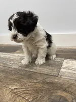 processed/6b5c6ec1-c199-40ff-b990-bcca5b085c12/listing/b27acb28-702b-483f-a549-e0125e266ce2/047fcbd4-55c1-4edf-8432-0fae77a830c7