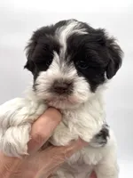 processed/6b5c6ec1-c199-40ff-b990-bcca5b085c12/listing/b27acb28-702b-483f-a549-e0125e266ce2/4eaccf57-774e-4216-836d-645679b50702