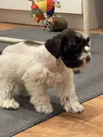 processed/6b5c6ec1-c199-40ff-b990-bcca5b085c12/listing/b27acb28-702b-483f-a549-e0125e266ce2/55d975e3-030d-462e-ba5c-38e76224c206